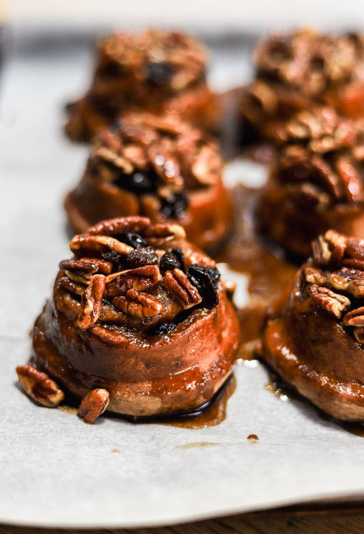 schnecken